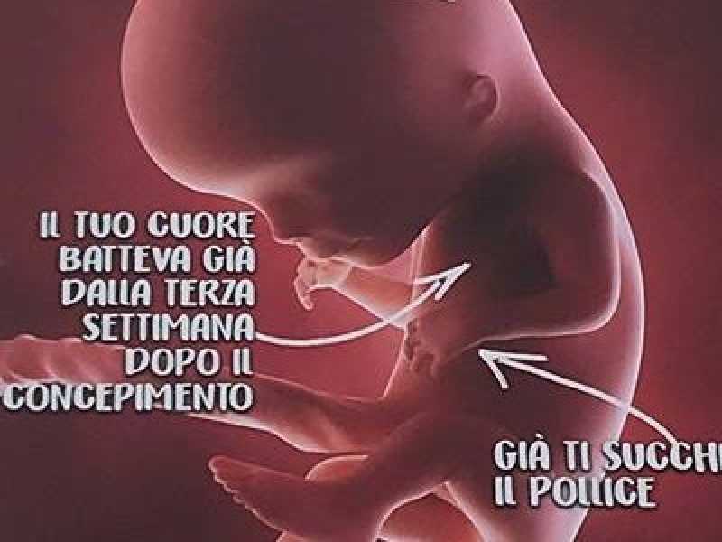 Il manifesto di ProVita