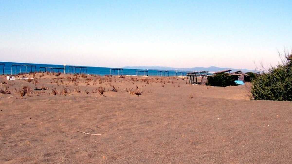 Immagine di La battaglia donchisciottesca sulla spiaggia di Castagneto Carducci
