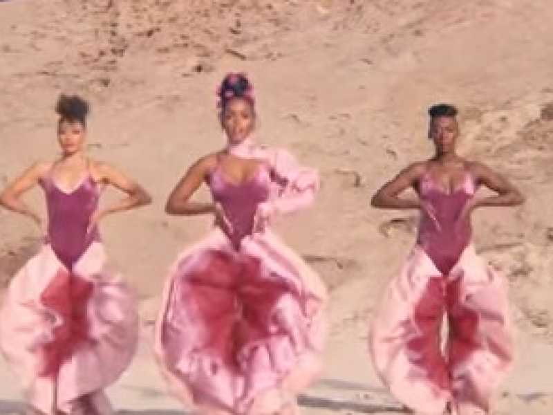 Black Vagina power! La minoranza femminista esclusa dalle femministe