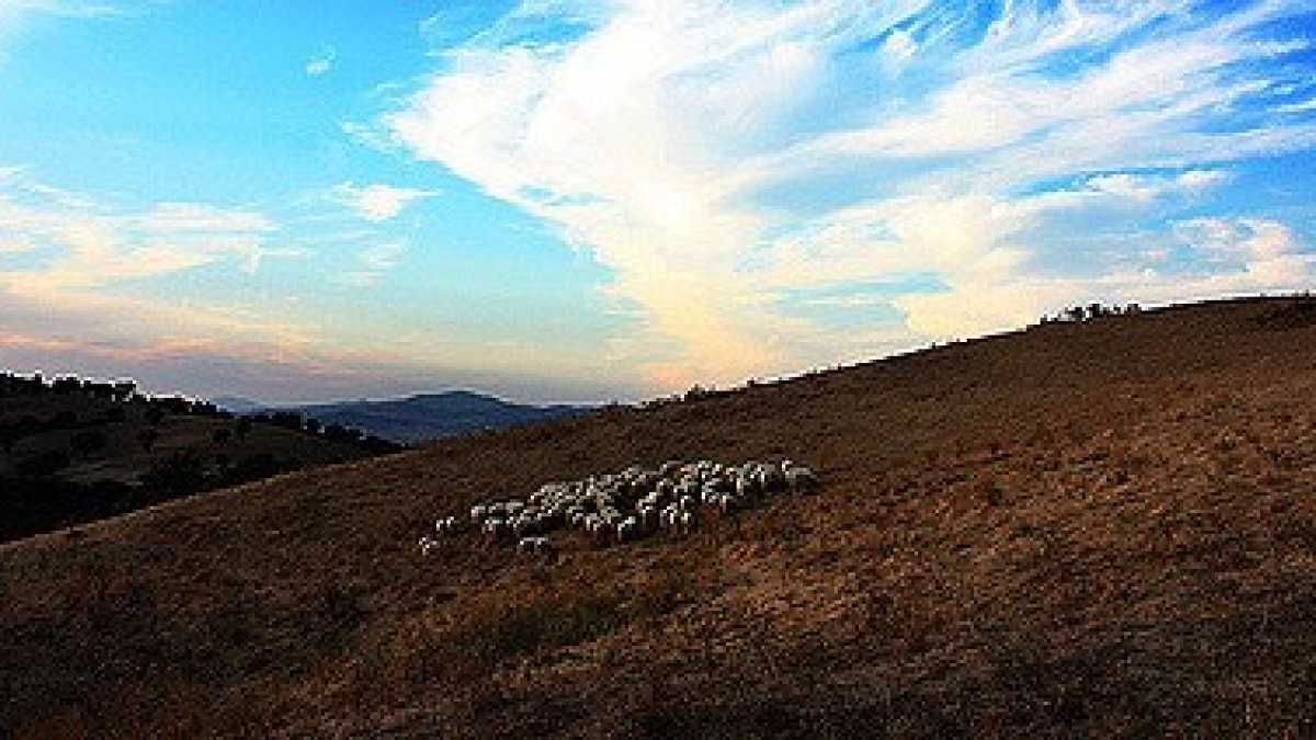 Immagine di Il verde intenso e torbido a Solopaca