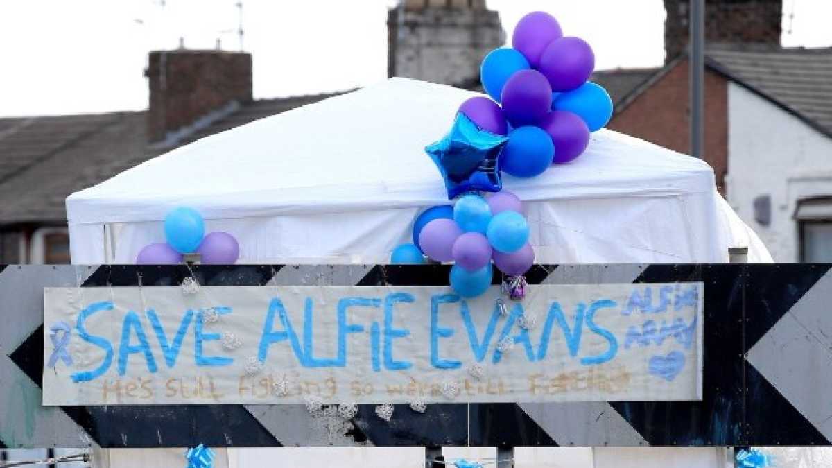 Immagine di Alfie e la civile Inghilterra