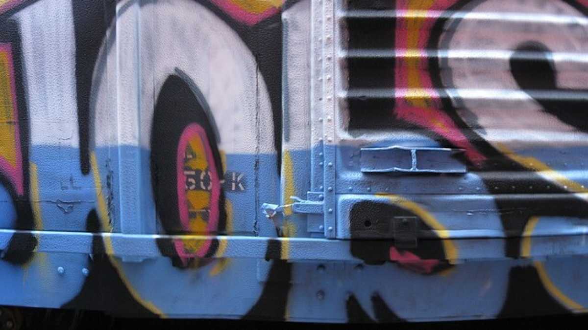 Immagine di La sinistra americana a cinque stelle