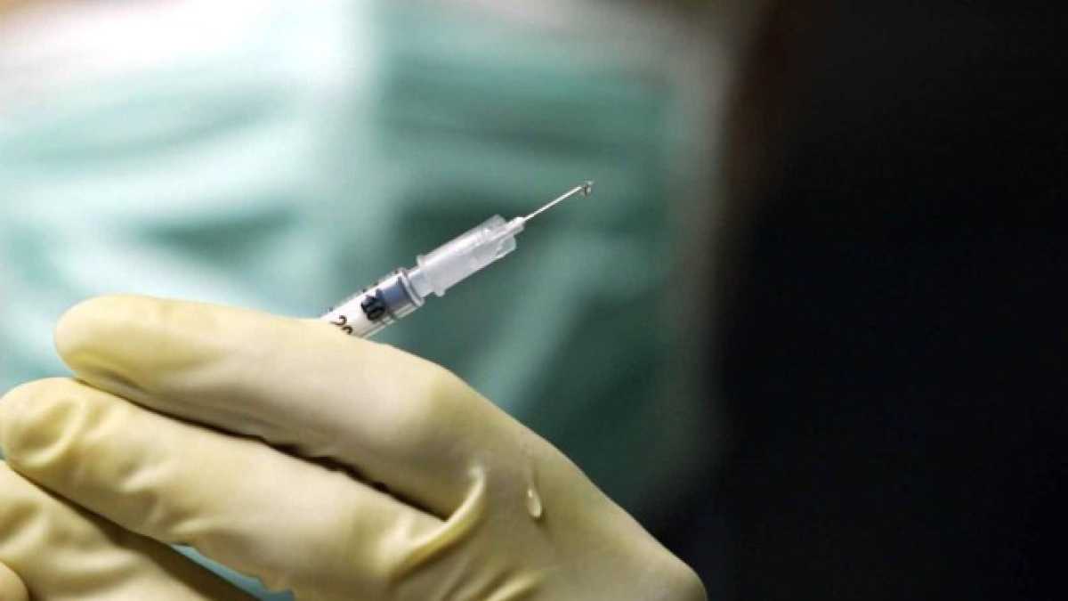 Immagine di Vaccini, cani e somari