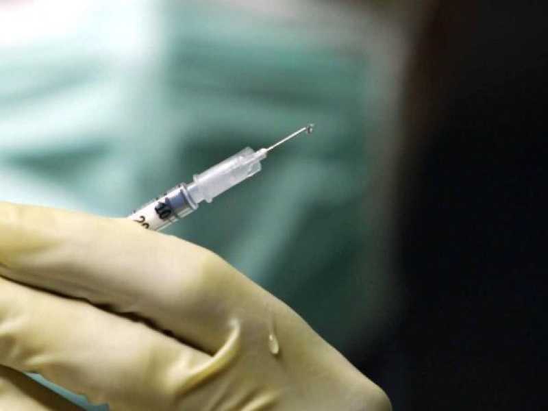 Vaccini, cani e somari