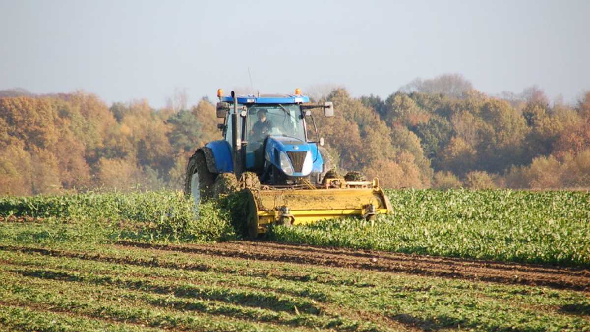 Immagine di Non solo lavoro, cresce anche il pil. Con calma