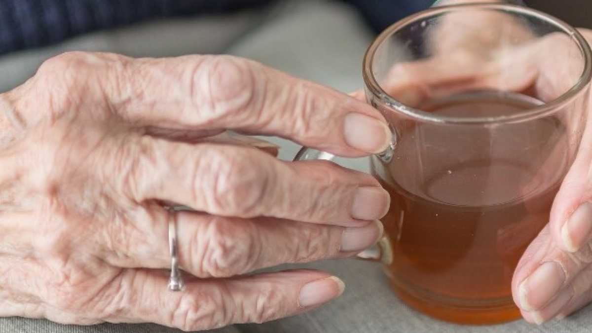 Immagine di Le nonne morte sono l’alibi di chi si è arreso
