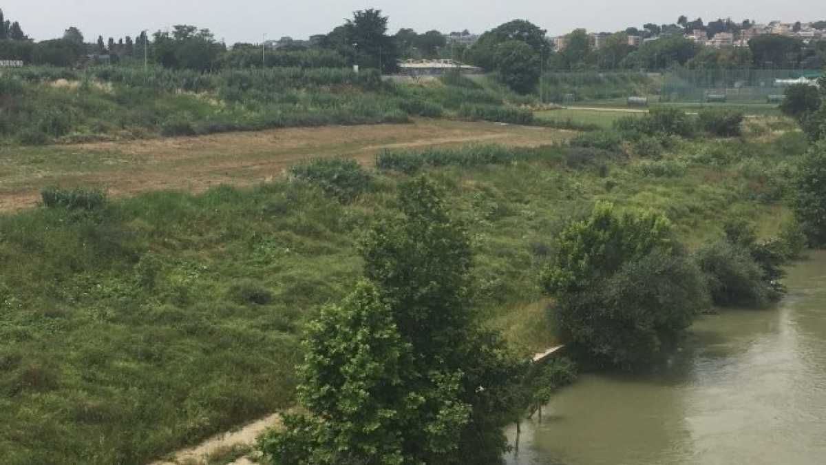 Immagine di Altro che spiaggia. Sul Tevere solo rifiuti e incuria