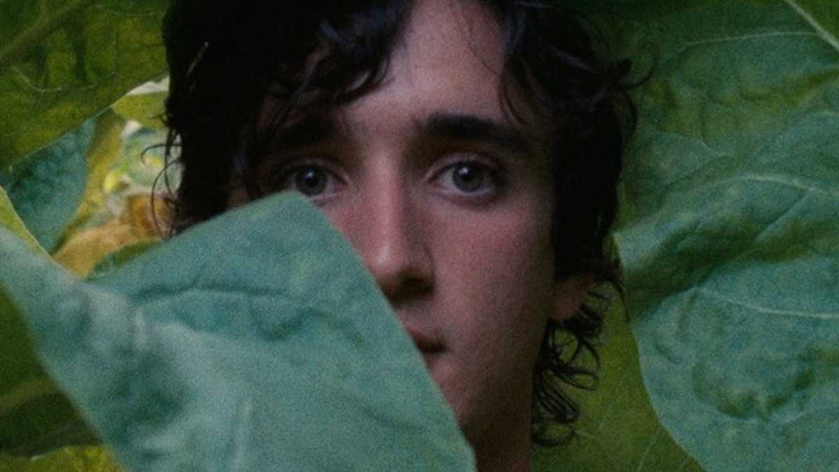 Immagine di Le lodi per “Lazzaro felice” non scandalizzano nessuno. E invece dovrebbero