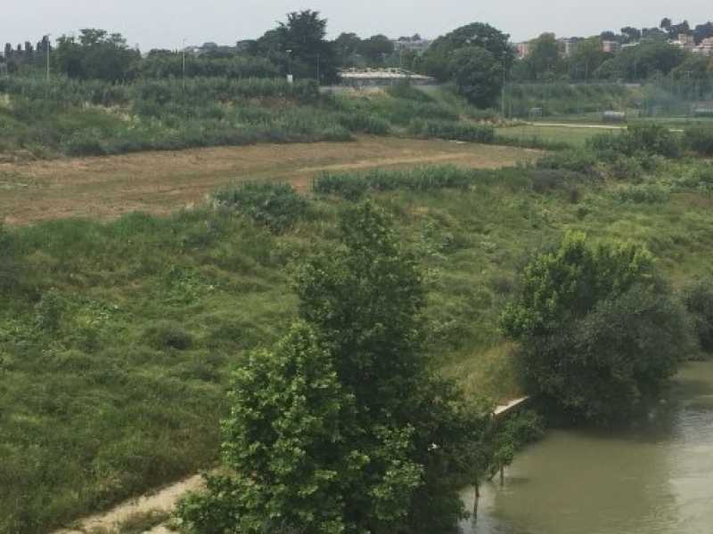 Foto di Massimo Solani 