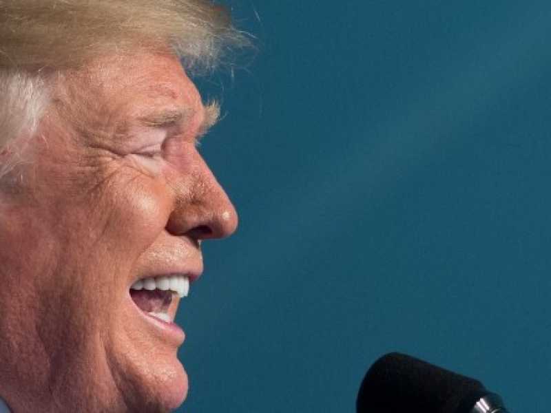 Donald Trump (foto LaPresse)