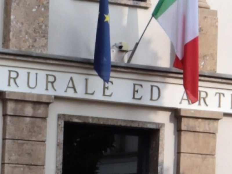 La banchetta locale non è bella