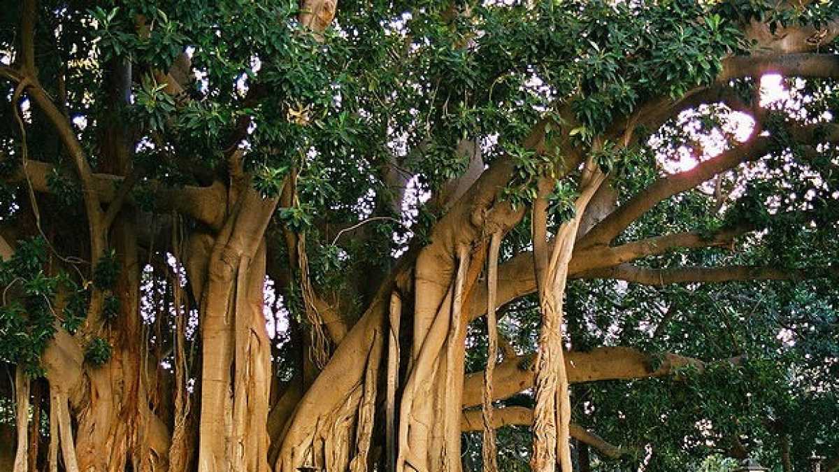 Immagine di Quanto è difficile spiegare Palermo