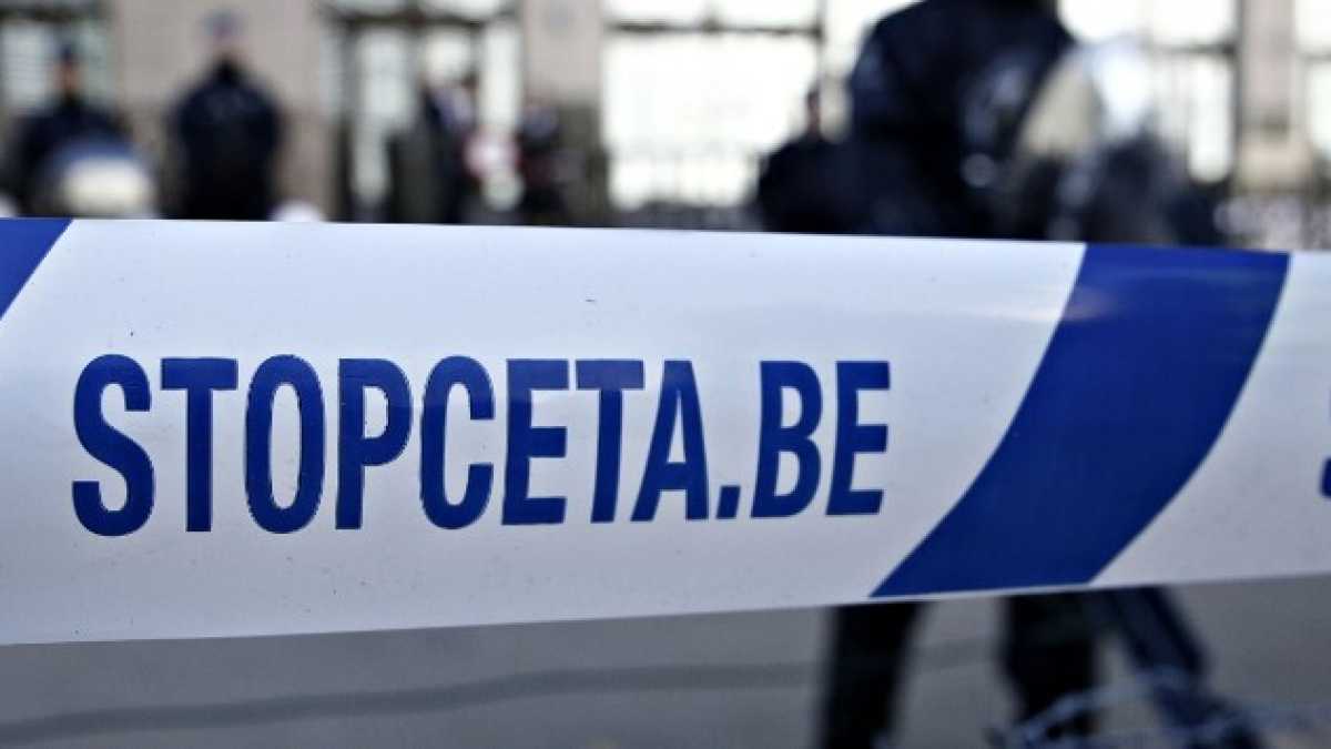 Immagine di Tu Tarzan, io Ceta