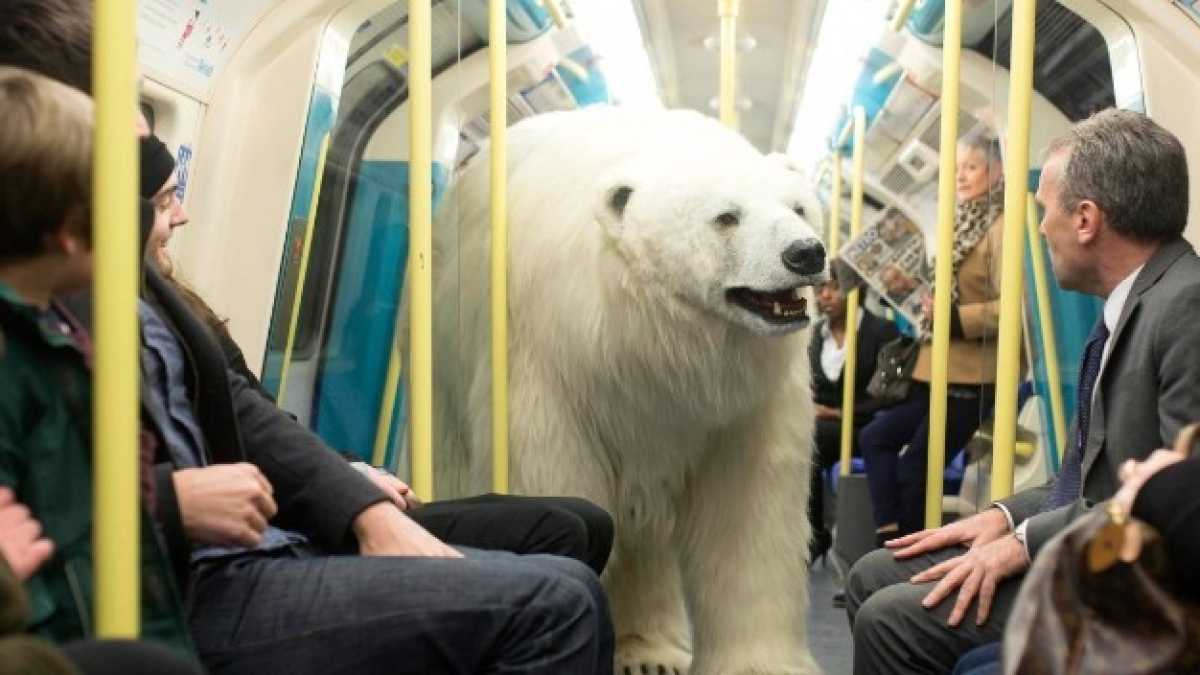 Immagine di La distopia climatica va di moda perché l’umanità anela alla distruzione