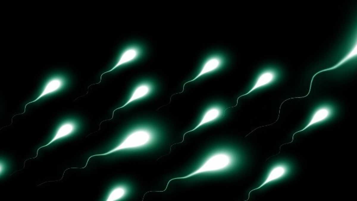 Immagine di Il minimalismo fa scappare anche gli spermatozoi