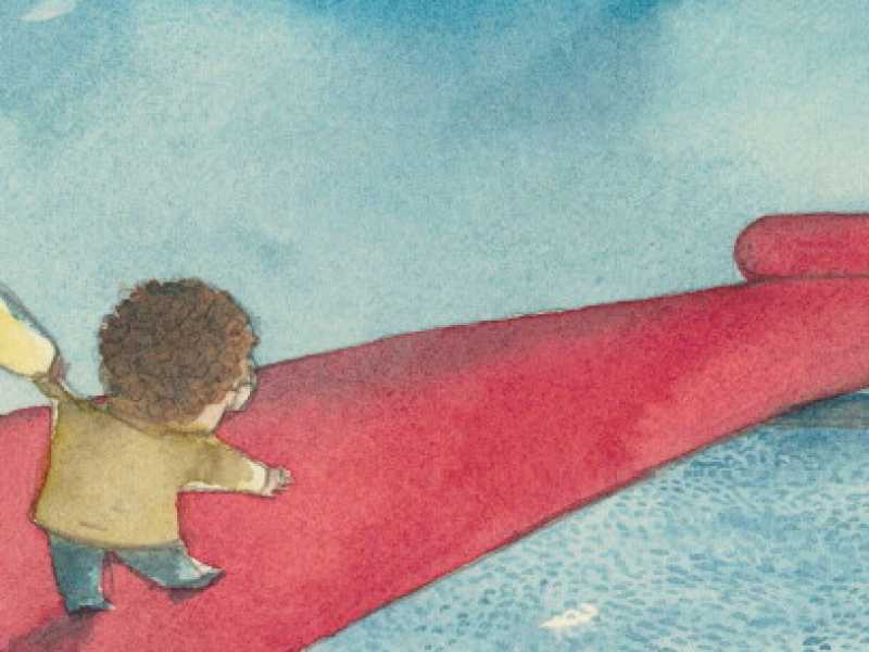 &ldquo;Fifa nera-fifa blu&rdquo;, di Alessandra Ballerini e Lorenzo Terranera (Donzelli editore)
