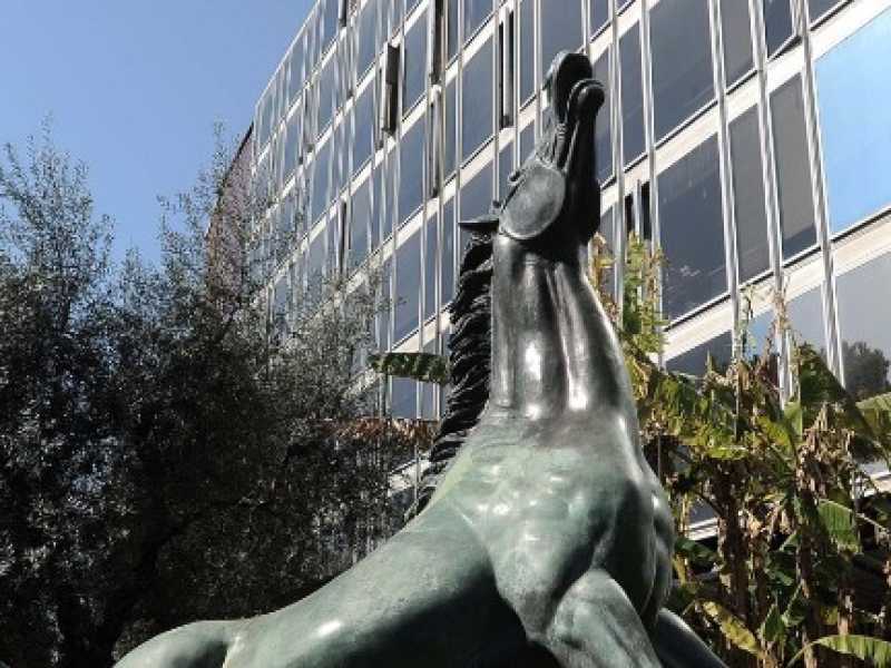 Il cavallo di Viale Mazzini (foto LaPresse)