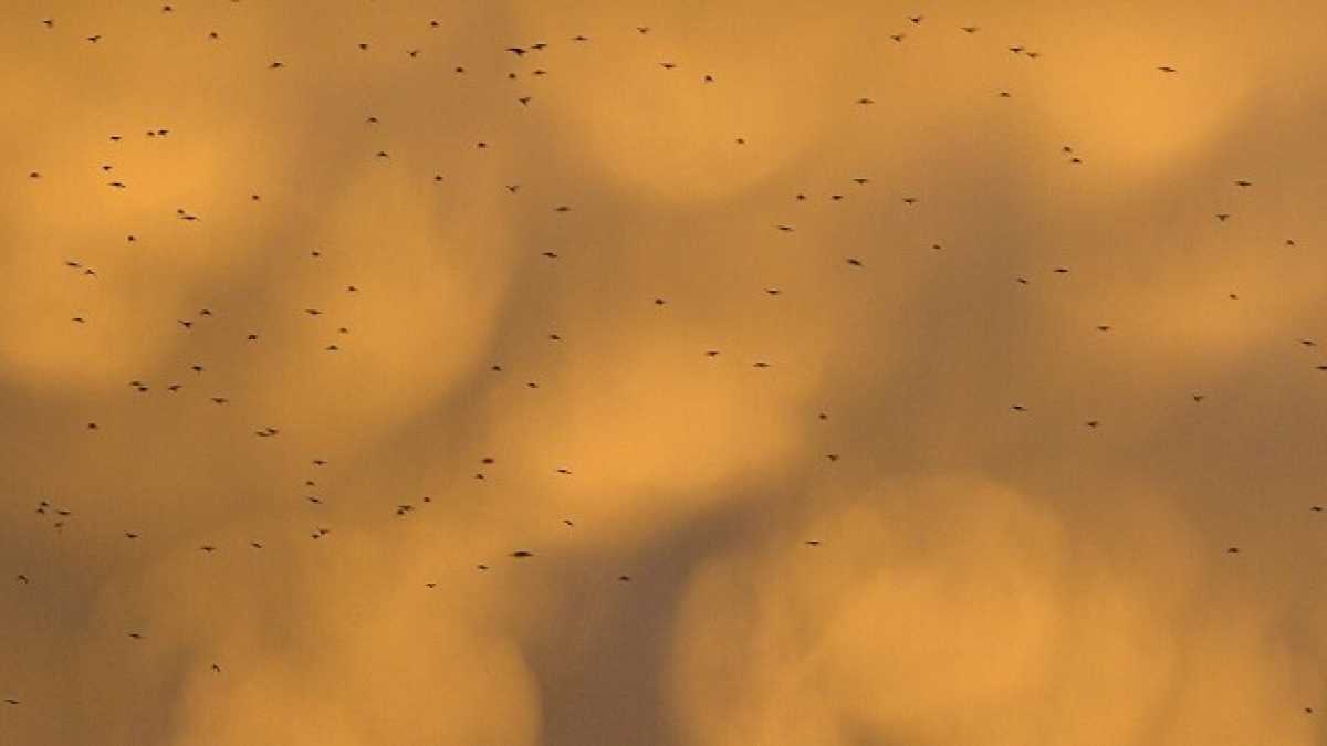 Immagine di “Israele ci ruba le nuvole”