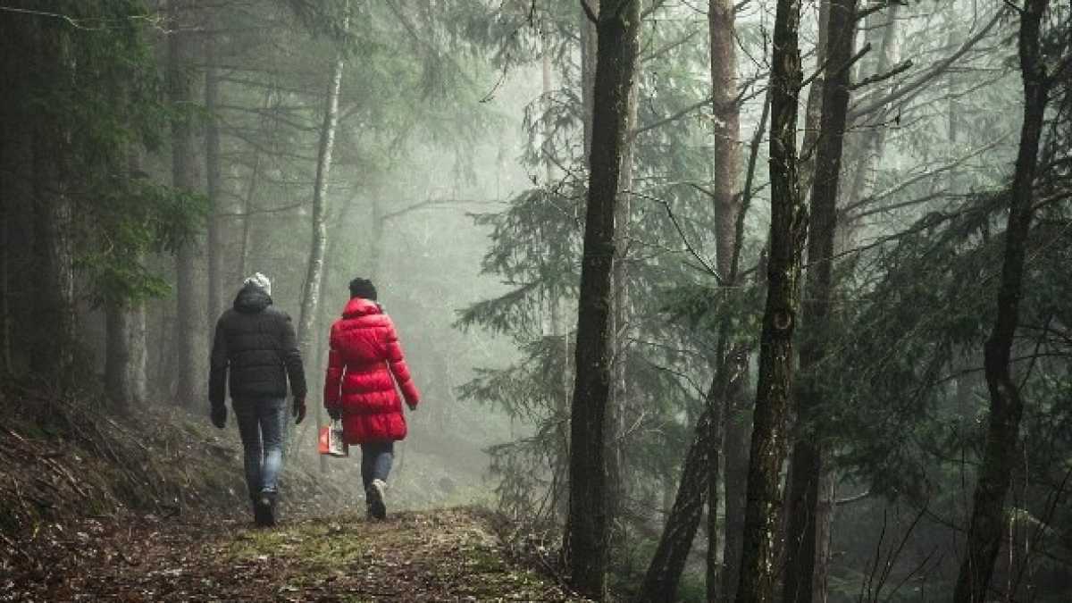 Immagine di Camminare non stanca, anzi ci porta più in fretta al centro delle cose
