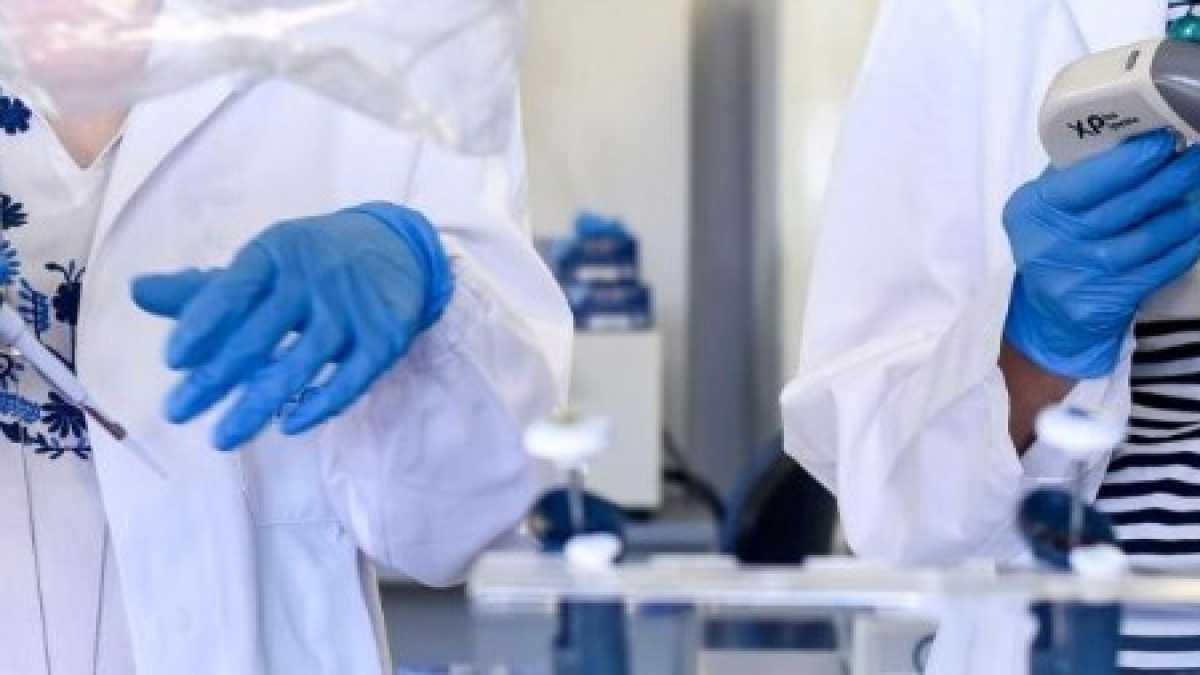Immagine di Le industrie farmaceutiche pensano che sia un ingenuo