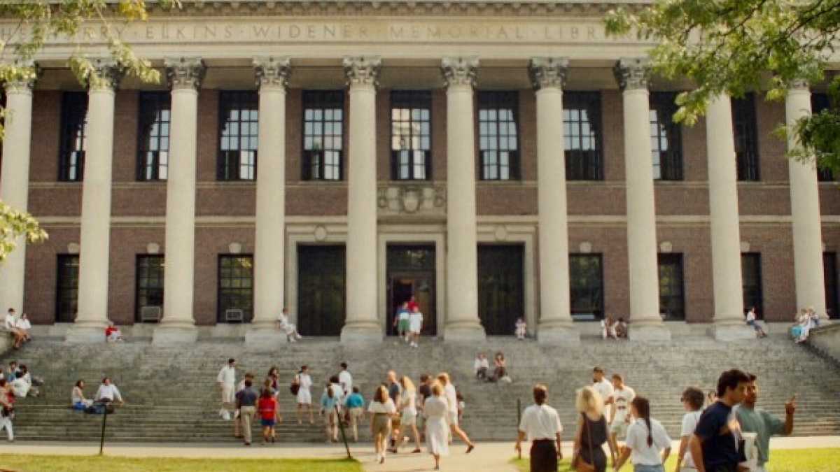 Immagine di Uguali e diversity