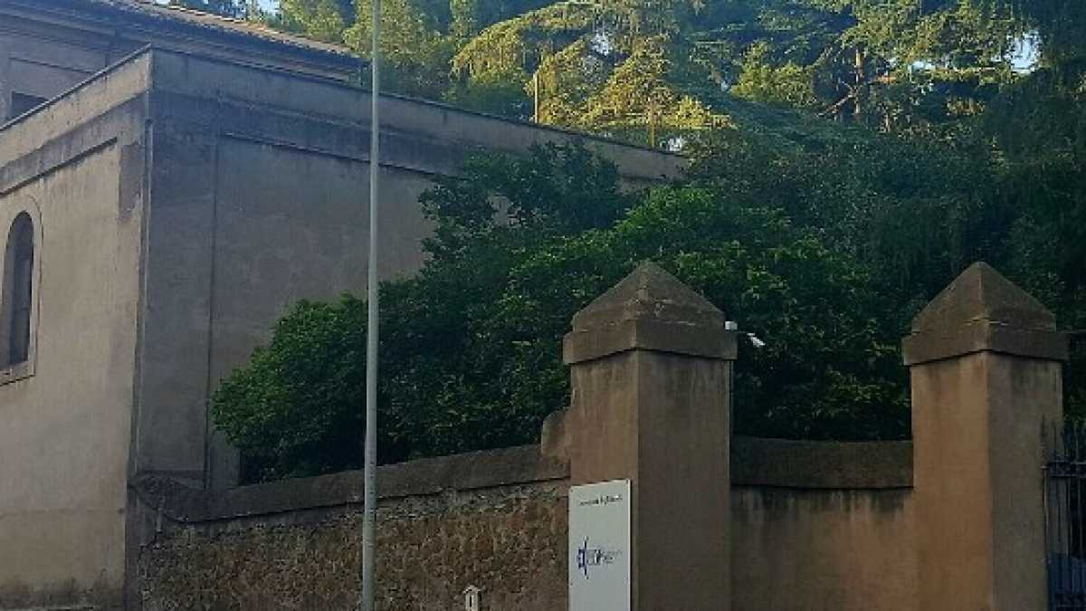 Immagine di Due passi alla festa Link per scoprire la direzione del potere a 5 stelle