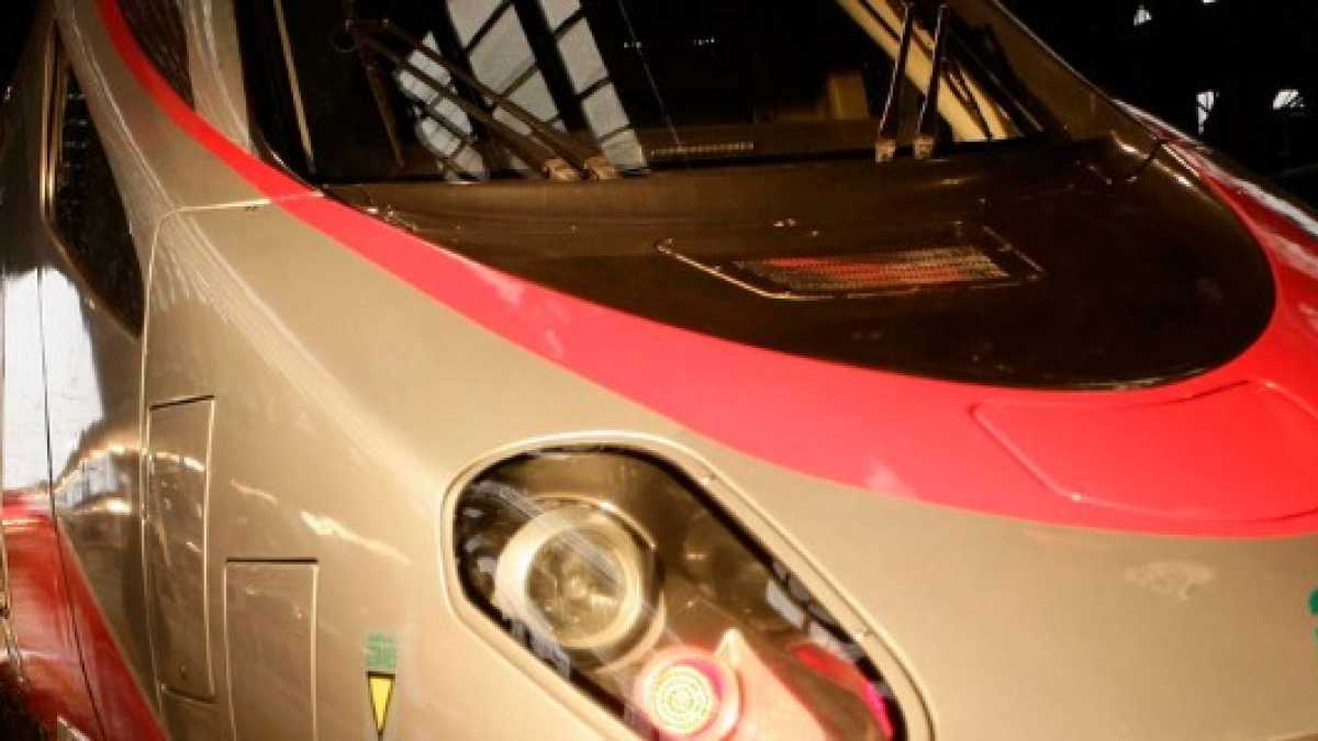 Immagine di Lo stato trasportatore