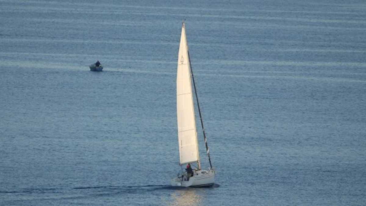 Immagine di “Torna, ritorna qui!” Stefano Di Michele