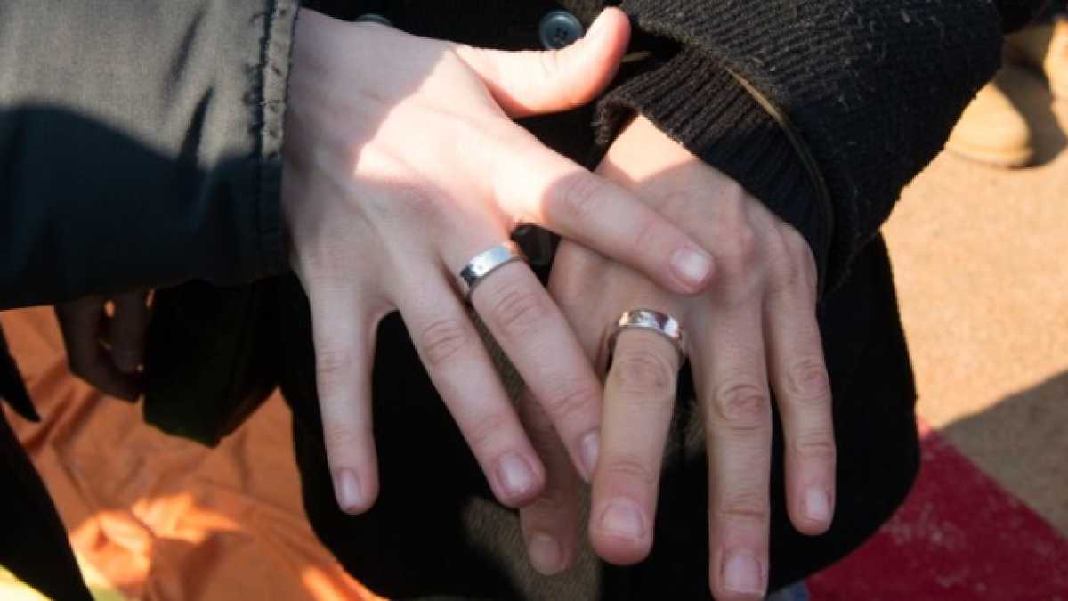 Immagine di Nessun riconoscimento per i figli delle coppie gay. La linea del ministro Fontana