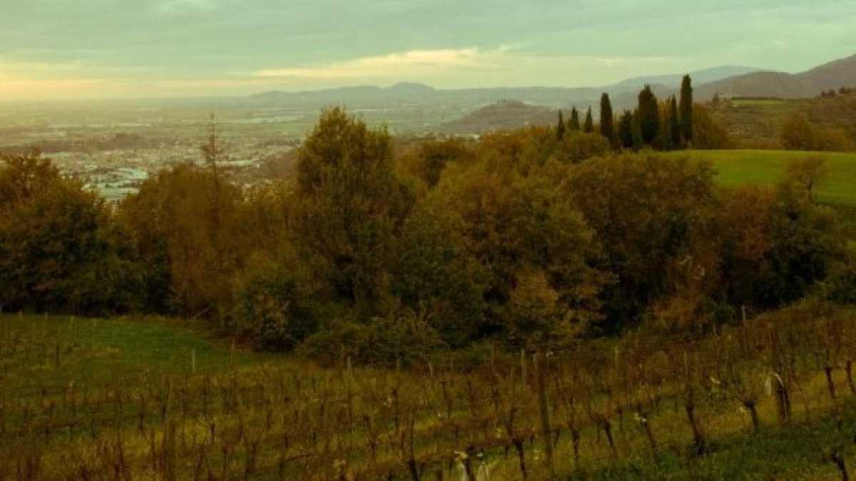 Immagine di Prima i mecenati