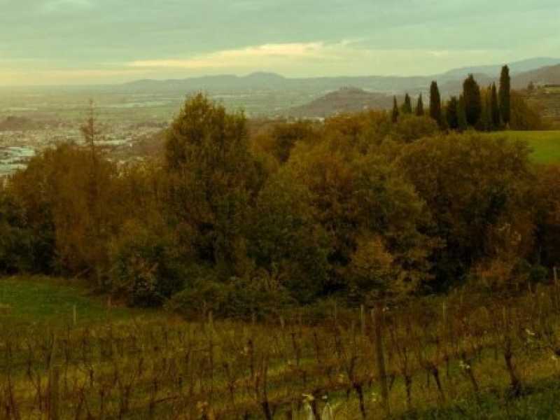 Prima i mecenati
