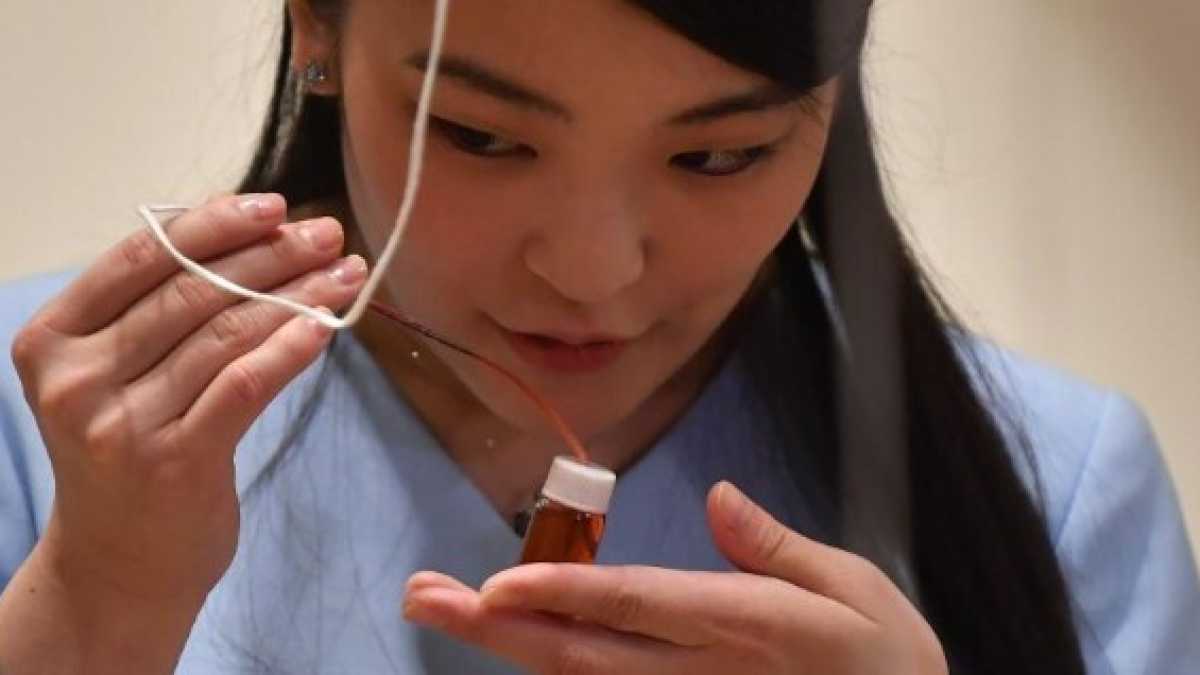 Immagine di La tradizione giapponese messa alla prova dagli amori delle sue principesse