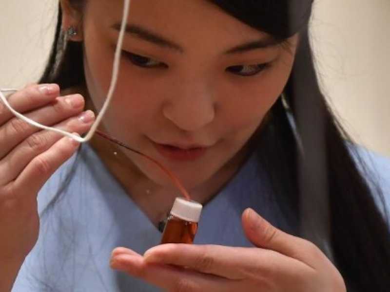 La principessa Mako (foto LaPresse)