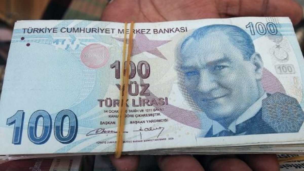 Immagine di Erdogan docet