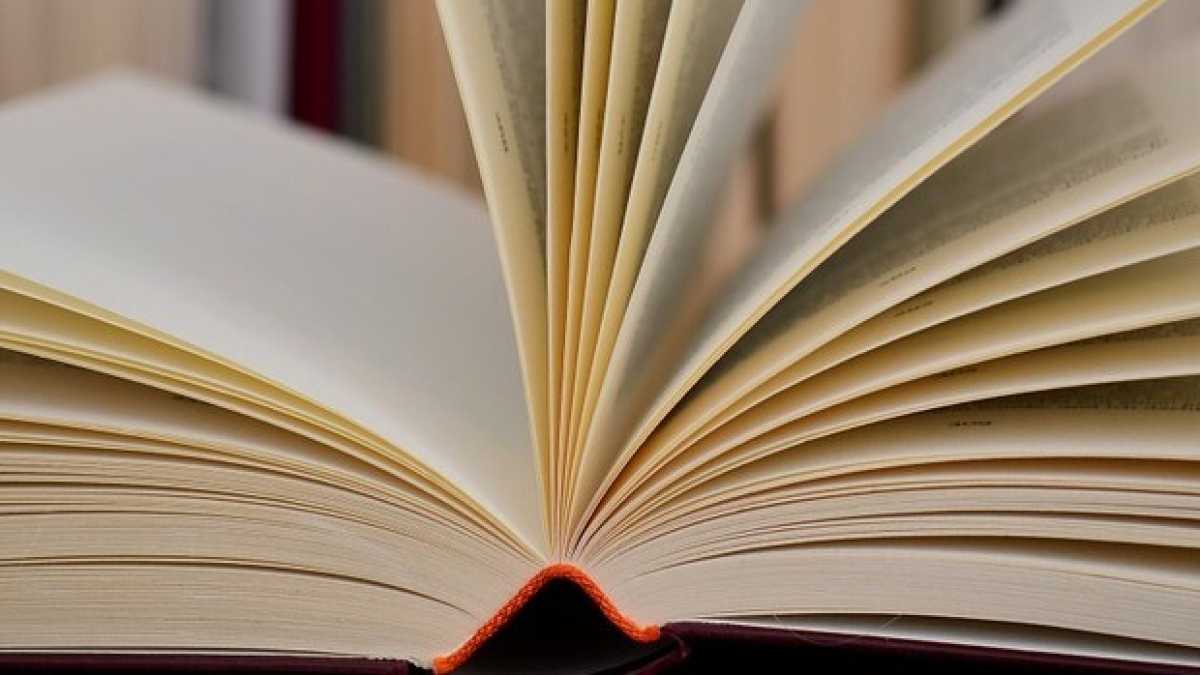 Immagine di I romanzi non si possono scrivere perché ci conosciamo tutti