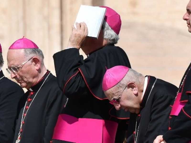 Vaticano, vescovi all'Udienza generale del mercoled&igrave; di Papa Francesco (foto LaPresse)