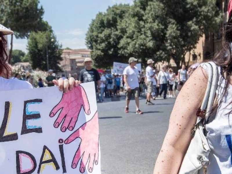 Manifestazione per la libertà di scelta vaccinale - Free vax, Roma 11-06-2017 (foto LaPresse)