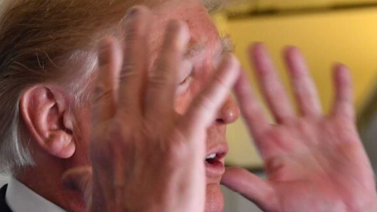 Immagine di Trump e l'enigma della follia