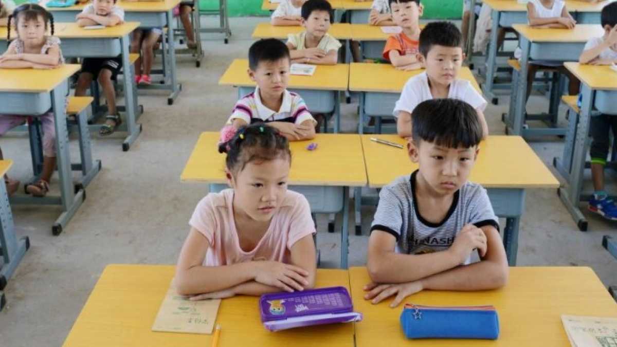 Immagine di Propaganda, dazi e grandeur: perché la classe media cinese è arrabbiata