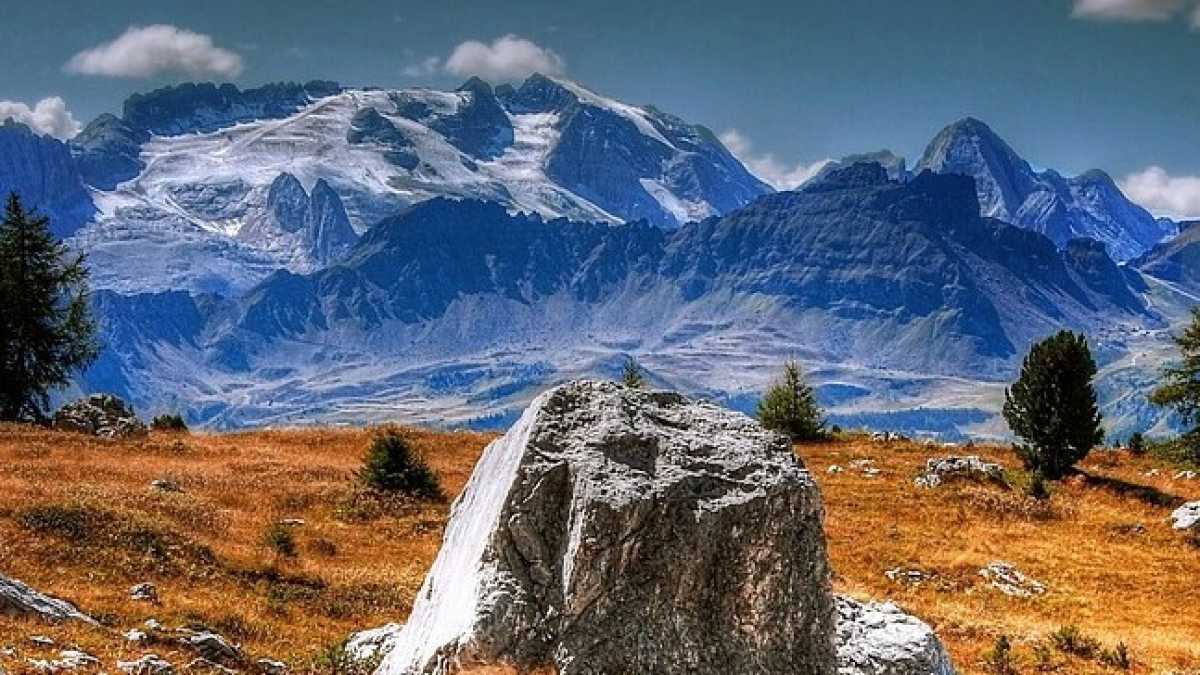 Immagine di La sòla delle Alpi
