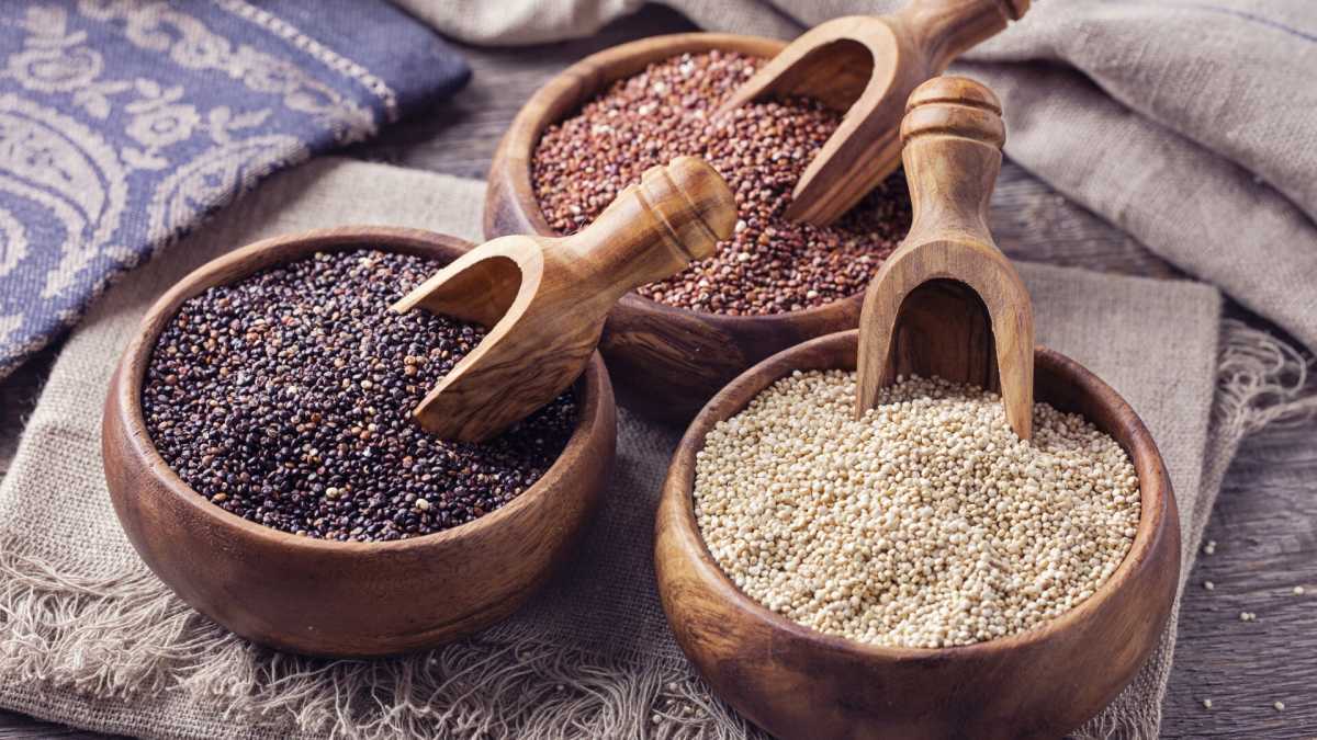 Immagine di Quinoa, il boom di richieste trascina al rialzo la produzione