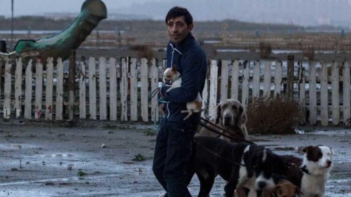 Immagine di "Dogman" merita di vincere l'Oscar