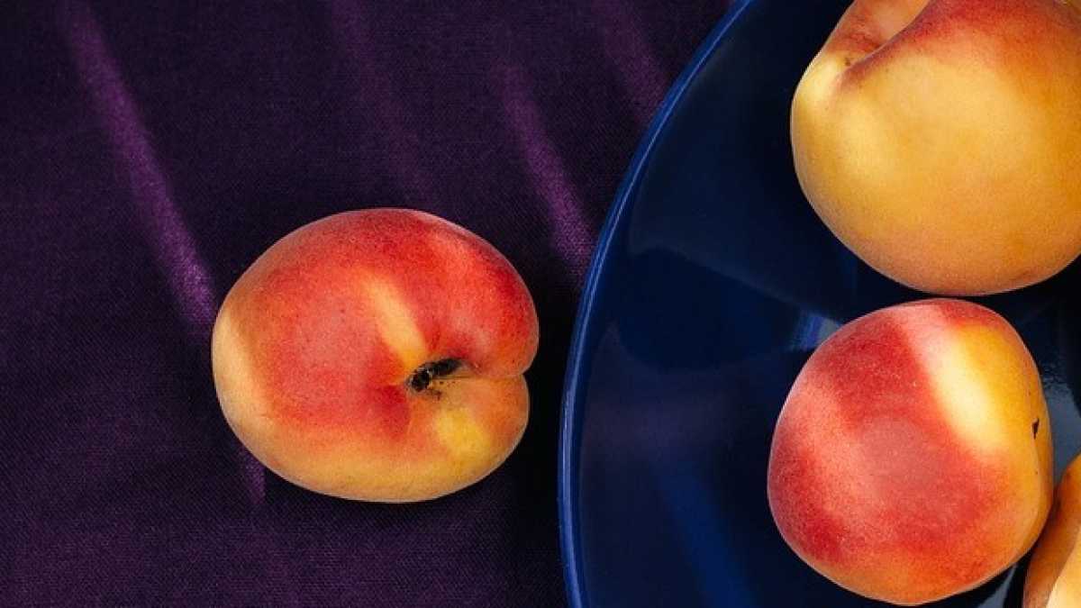 Immagine di Il sapore che mi ha reso figlio