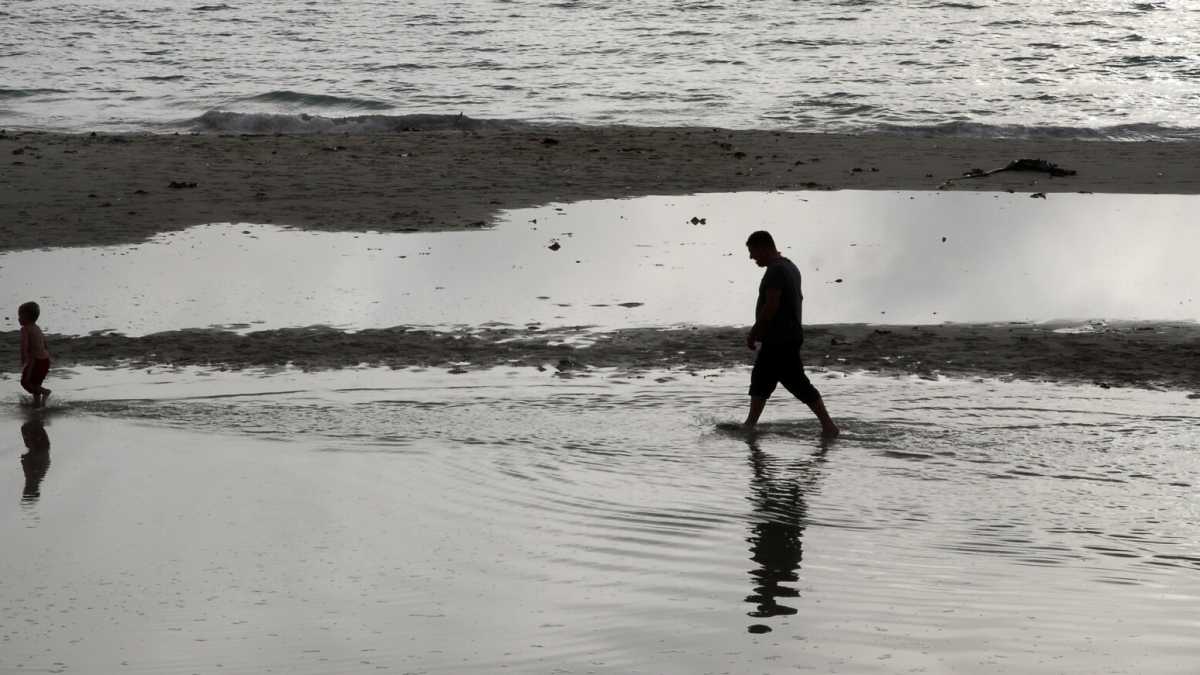 Immagine di L’uomo che guarda