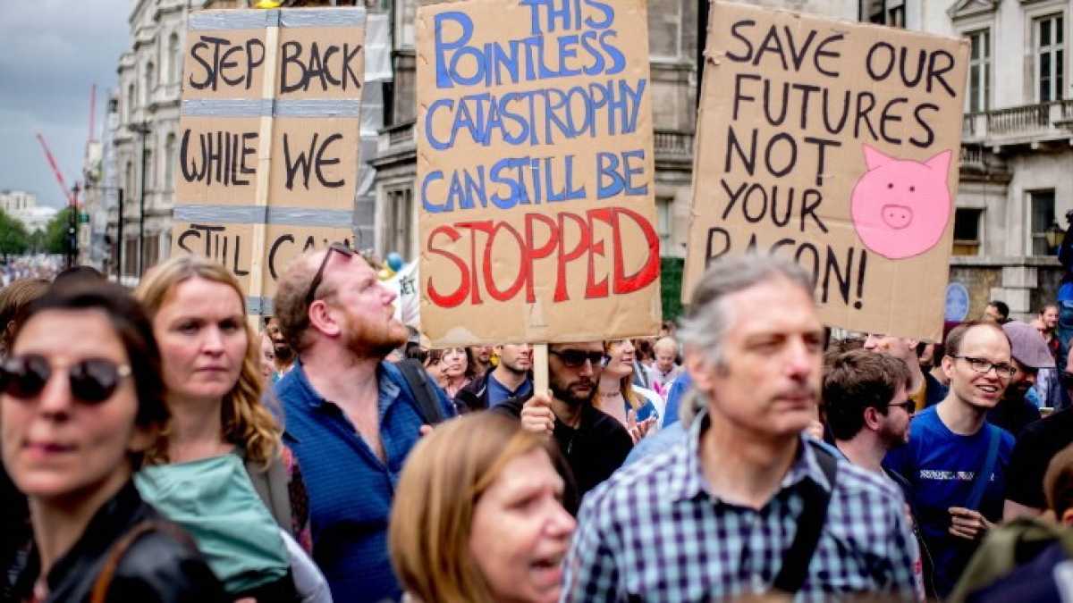 Immagine di Resistenza di piazza