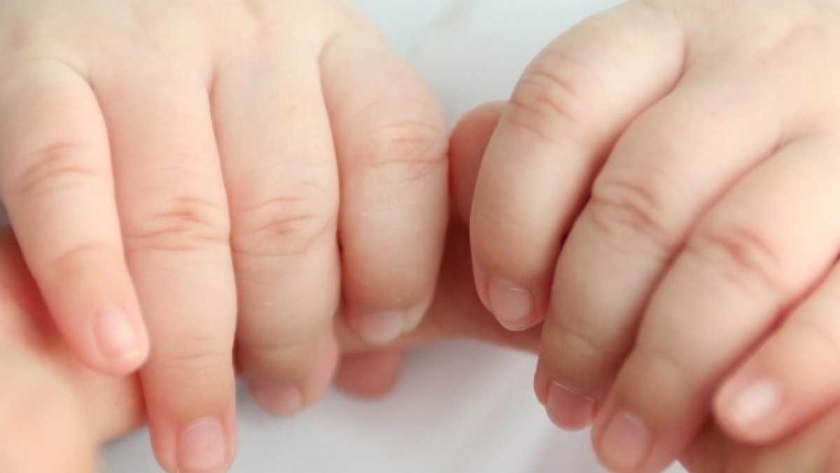Immagine di Titolisti e abortisti
