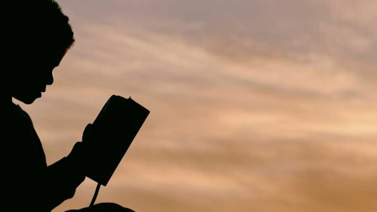 Immagine di Genitori ombrello, lasciate che i bambini vadano ai libri senza di voi