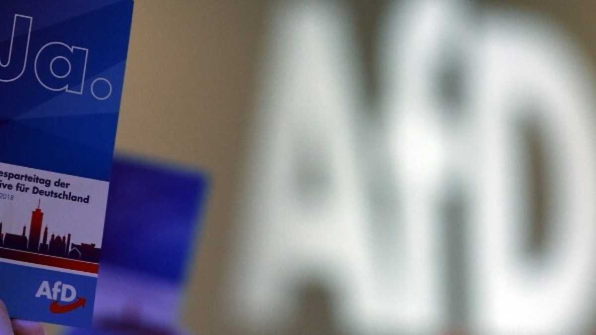 Immagine di Così la Germania sta creando gli antidoti al populismo