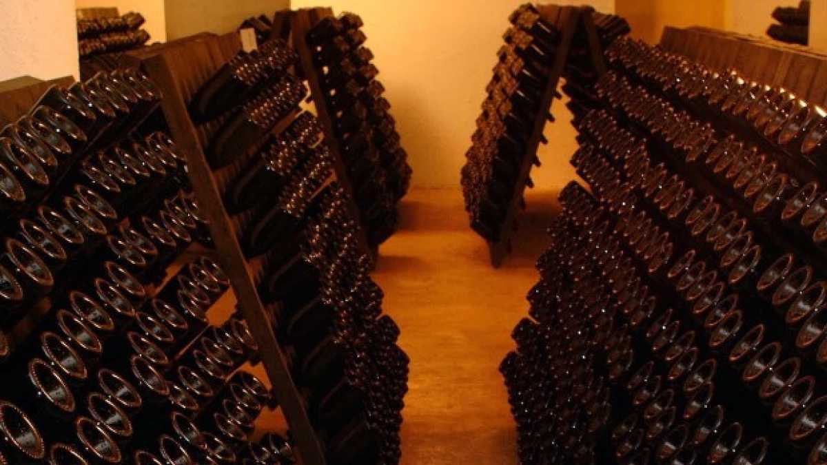 Immagine di Miti della vecchia Europa