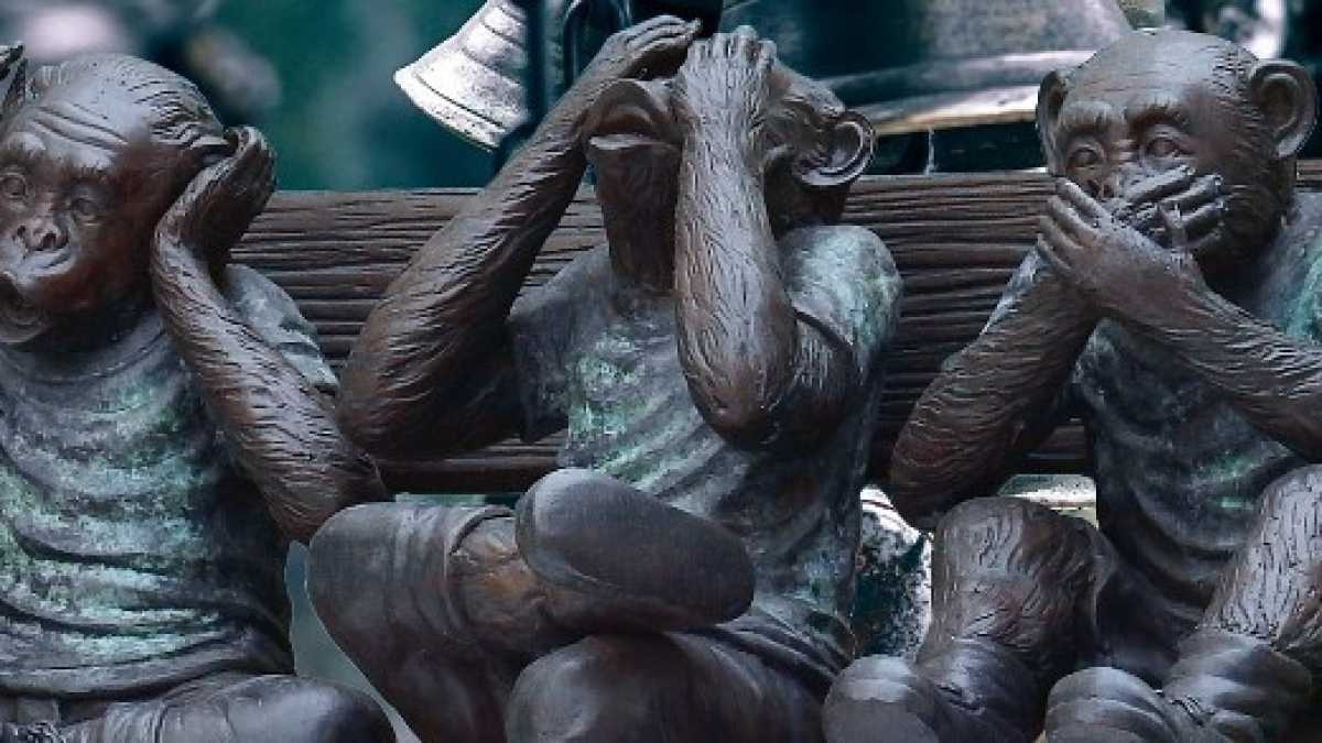 Immagine di La coltre della società aperta